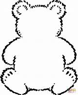 Oso Contorno Peluche Pages sketch template