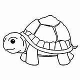 Tortue Tortoise Coloriage Turtles Kura Sindunesia Tortues Children Coloriages Justcolor Mandala Coloringbay Joli Mewarnai Cangkang sketch template