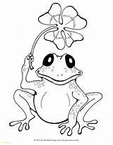 Amphibian Drawing Coloring Pages Frog Kids Printable Getdrawings sketch template