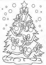 Malvorlagen Ausmalbilder Vorlagen Weihnachtsbaum Tannenbaum Christbaum Ausdrucken Fensterbilder Baum Weihnachtsmalvorlagen Sheets Malvorlage Vorlage Pinguine Zeichnung Tulamama Schablonen Zenideen Kindern sketch template