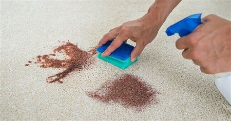 blood   carpet  effective tips