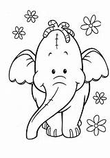 Coloring Pages Elephant Cute sketch template