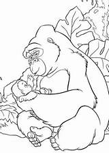 Gorilla Coloring Baby Pages Getdrawings sketch template