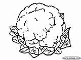 Cauliflower Pages Coloring Colouring Kids Vegetables Printable Picolour sketch template