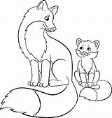 Fox Coloring Pages Baby Cute Drawing Printable Mother Animals Red Cartoon Kitsune Fennec Narwhal Babies Adults Book Color Kids Realistic sketch template
