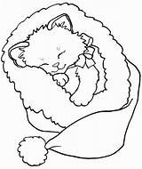 Weihnachten Katze Natal Malvorlagen Druckbare sketch template