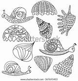 Sea Shells Coloring Doodle Zentangle Snails Vector Isolated Objects Graphic Background Set Book Shutterstock Pattern Style sketch template