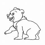 Ursi Desene sketch template