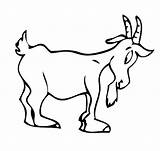 Cabra Cabras Chivas Montesa Capra Granja Infantiles Ovejas Cerdos Vacas sketch template