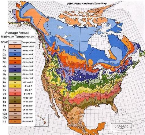 Plant Hardiness Zones For The United States And Canada