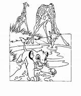 Lion Coloring King Pages Disney Simba Drawing Animated Printable Animals Tree Popular Kids Timon Coloringhome Last Books Library Getdrawings Odd sketch template
