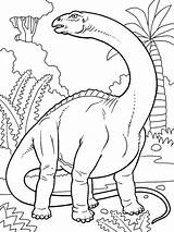 Dinosaurs Colouring Printable Sheets Brontosaurus Coloring Animal Dino Apatosaurus Jurassic sketch template