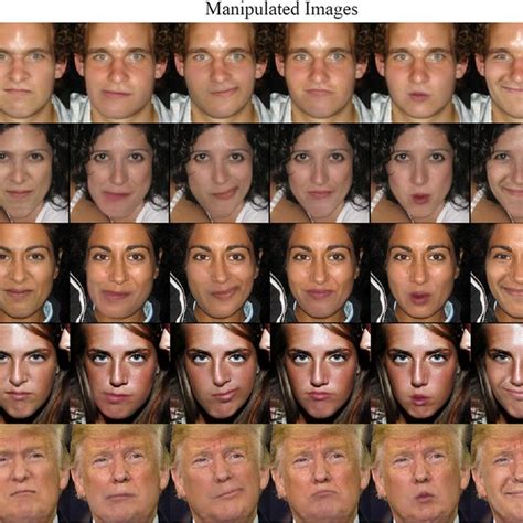 comparison  face synthesis methods    input image