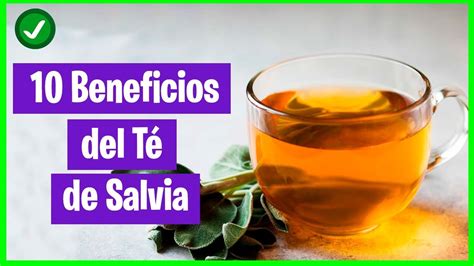 10 Beneficios Del Té De Salvia Para La Salud Youtube