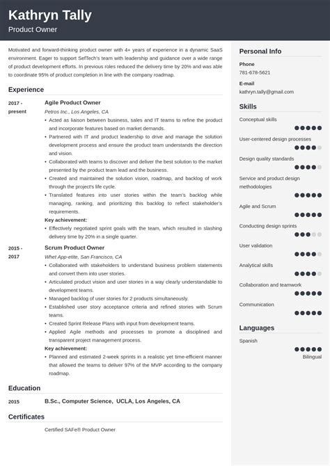 product owner resume examples  skills summaries tips