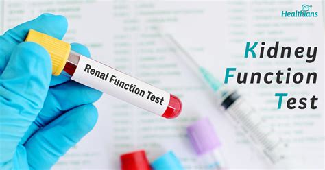kidney function test athome purpose types    healthians