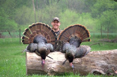 west virginia hunter trying to bag a wild turkey in every