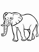 Olifant Kleurplaat Elefant Olifanten Colorat Leukekleurplaten Leuke Printen Plansededesenat Tipareste sketch template