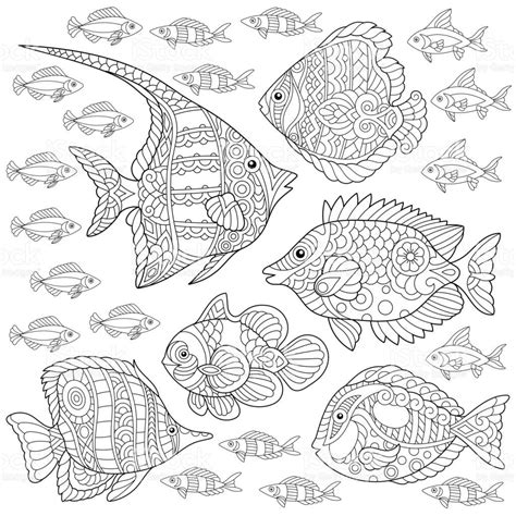 collection  tropical fishes coloring page freehand sketch