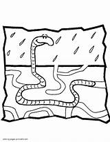 Worm Coloring Pages Kids Rain Printable Animal sketch template