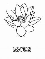 Lotus Coloring Pages Flower Printable Kids Fruit Its Bestcoloringpagesforkids Color Sheets Aquatic Plant Flowers Sheet Activities Find Getdrawings Choose Board sketch template