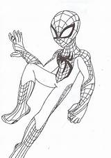 Coloring Spiderman Pages Amazing Popular Little Coloringhome sketch template