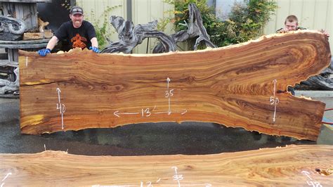 edge elm burl slabs fine woodworking redwood burl
