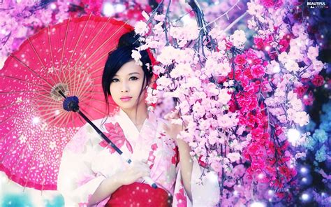 japanese woman wallpapers top free japanese woman