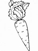 Carotte Zanahorias Zanahoria Coloriage Coloriages Dibujar Imprimer Legumes Numero Lechugas Educación Menta Actividades Cebollas Mandala Calabaza Pepinos sketch template