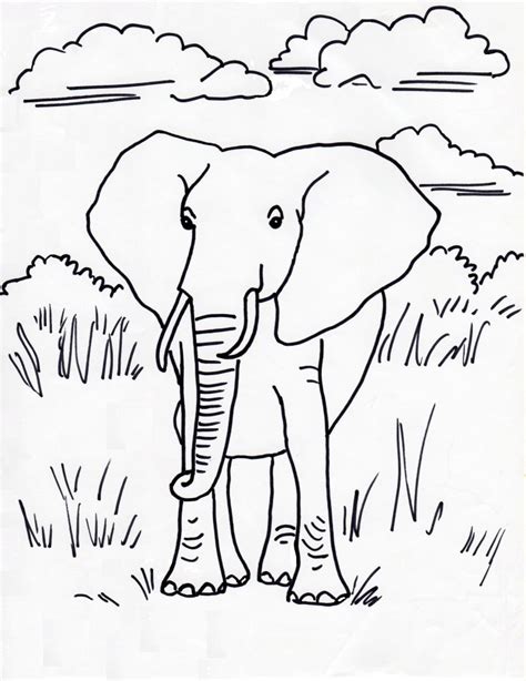 african elephant coloring page art starts