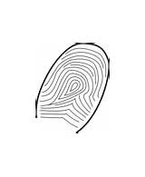 Fingerprint sketch template