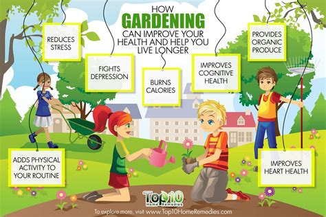 How Gardening Can Improve Your Health And Help You Live