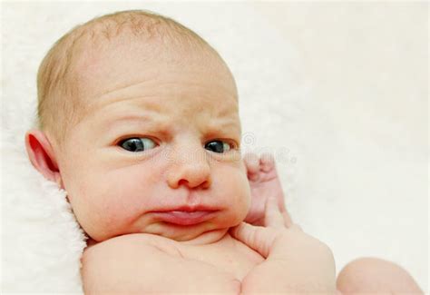 newborn baby  funny stock photo image