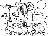 Coloring Shepherd Sheep Pages Good Kids Jesus Drawing Lamb Shepherds Lost Ram Boy Printable German Australian David Am Baby Print sketch template