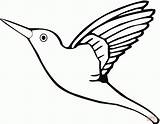 Sylph Designlooter Hummingbird sketch template