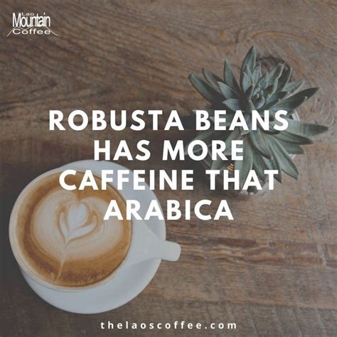 naturally the robusta bean has 83 of caffeine which
