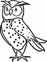 Nocturnal Animals Coloring Pages Animal Zoo Preschool Wecoloringpage Printable Color Owl Kids Getcolorings Clipart Library Comments sketch template