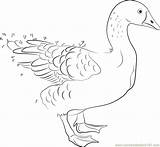 Goose Domesticated sketch template