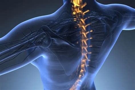 budget  plan  spinal cord stimulator cost