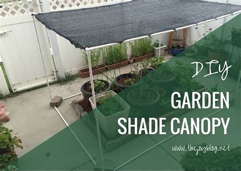diy freestanding shade canopy  garden backyard shade