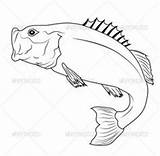 Trout Illustration sketch template