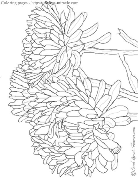 fall coloring pages  adults timeless miraclecom