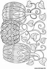 Coloriage Adulte Citrouille Trois Imprimer Kürbis Potiron sketch template