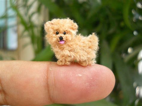 arte sorprendete  los mini dogs hechos por suami
