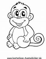Affen Affenbaby Affe Ausdrucken Ausmalbild Malvorlagen Malen Vorlagen Kaynak sketch template
