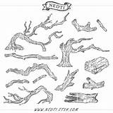 Driftwood Clipart Drawing Wood Tree Log Branches Clip Branch Vector Sketch Drawings 570px 25kb Paintingvalley Choose Board Trees sketch template