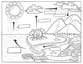 water cycle coloring page blank  science   dime tpt