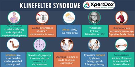 Klinefelter Syndrome Chromosal Condition Affecting Male Physical And
