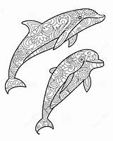 Dolphin Coloring Pages Zentangle Adults Drawing Mandala Dauphin Coloriage Adult Dessin Animal Mandalas Dolphins Vector Book Illustration Stress Anti Imprimer sketch template
