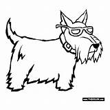 Coloring Pages Westie Template Dog Scottish Terrier Color Choose Board sketch template